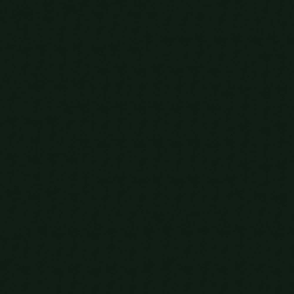 54" Autobahn Black (077) Vinyl Fabric Image 1