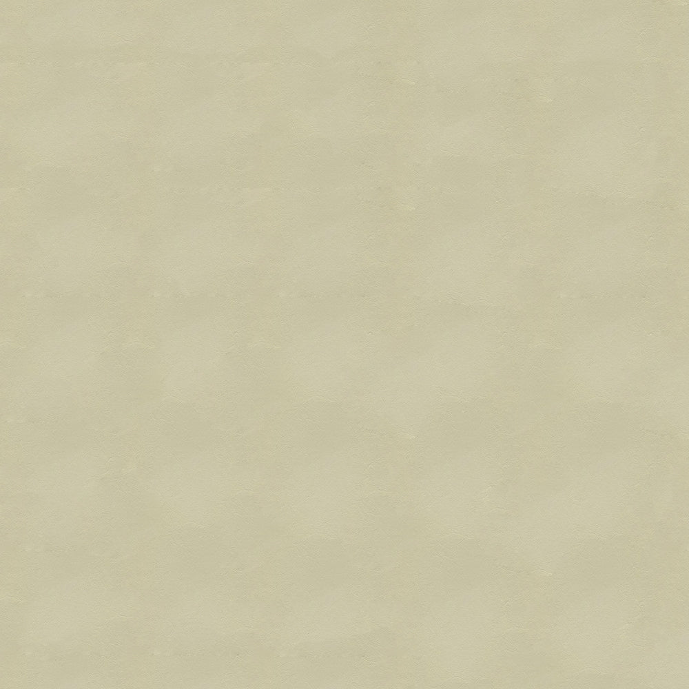 54" Enduratex™ Armada Sand Dollar (117) Vinyl Fabric Image 1