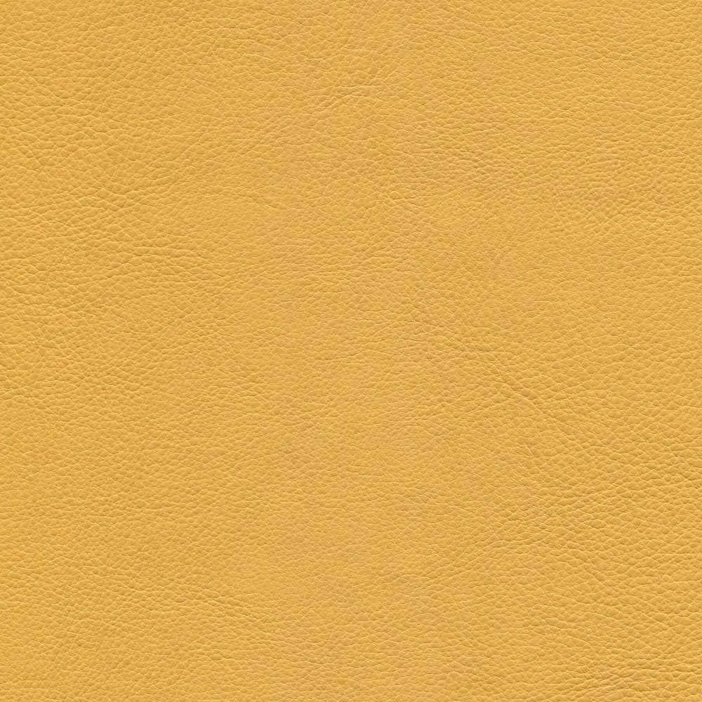 54" Enduratex™ Aspirations Flan (ASP600-NFR) Vinyl Fabric Image 1