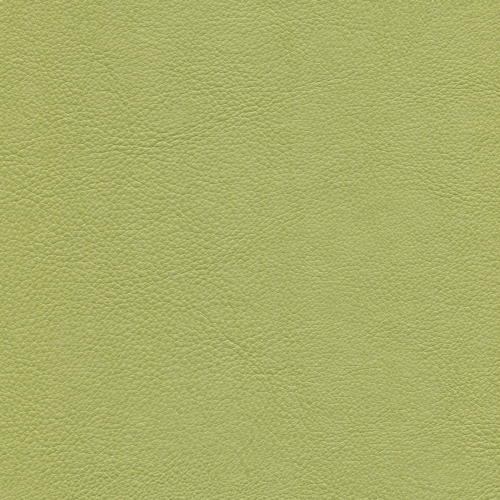 54" Enduratex™ Aspirations Jessamy (ASP1000-NFR) Vinyl Fabric Image 1