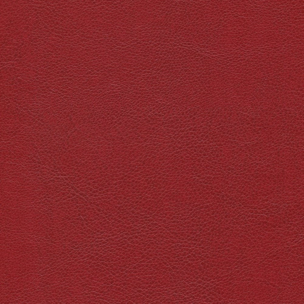 54" Enduratex™ Aspirations Sanguine (ASP1800-NFR) Vinyl Fabric Image 1