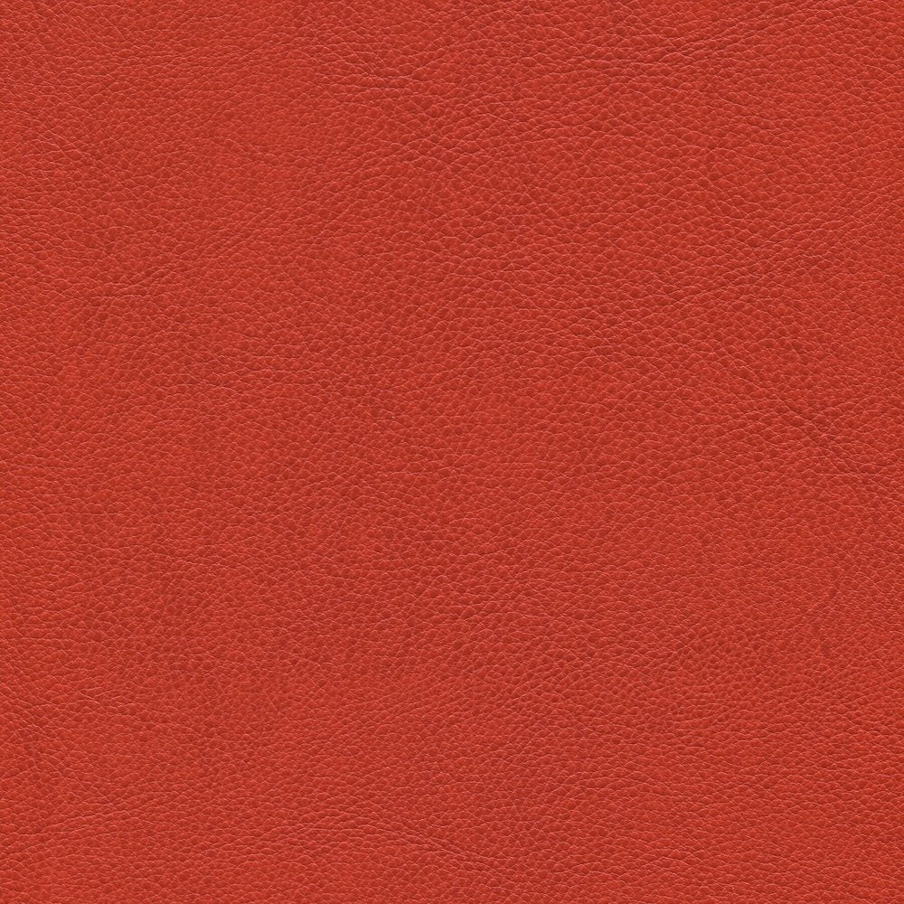 54" Enduratex™ Aspirations Tangelo (ASP2100-NFR) Vinyl Fabric Image 1