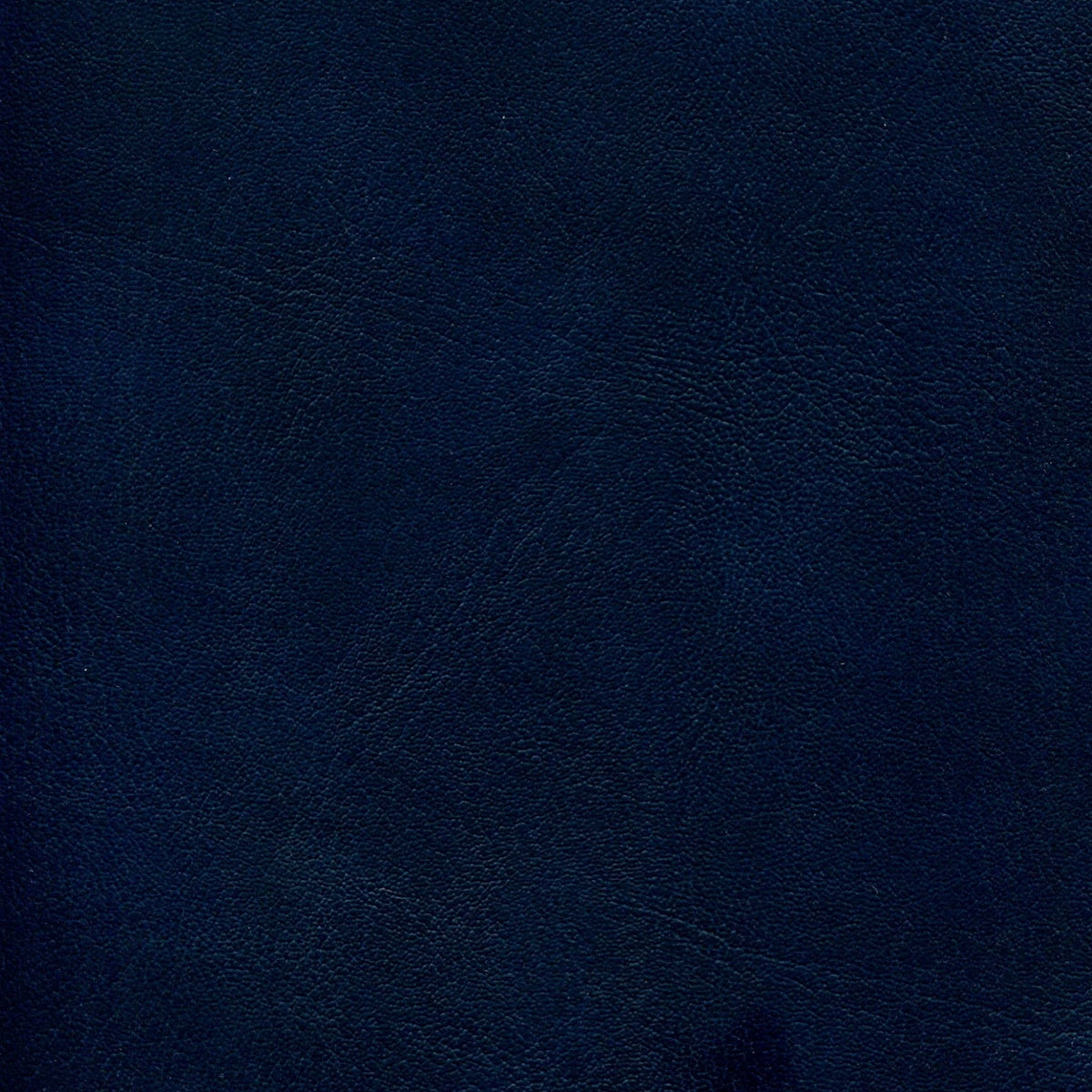 54" Enduratex™ Corinthian Soft Charcoal Blue (0103) Vinyl Fabric Image 1
