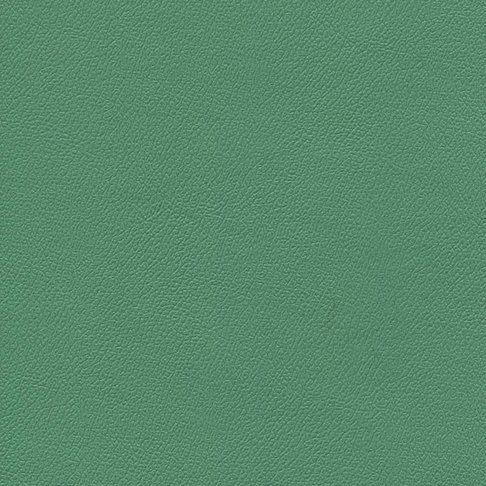 54" Enduratex™ Independence Amuse-Mint (8750) Vinyl Fabric Image 1
