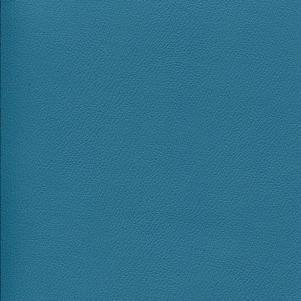 54" Enduratex™ Independence Cabana Boy (8758) Vinyl Fabric Image 1