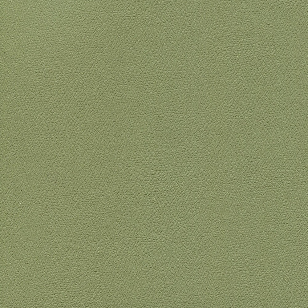 54" Enduratex™ Independence Echo Valley (8765) Vinyl Fabric Image 1