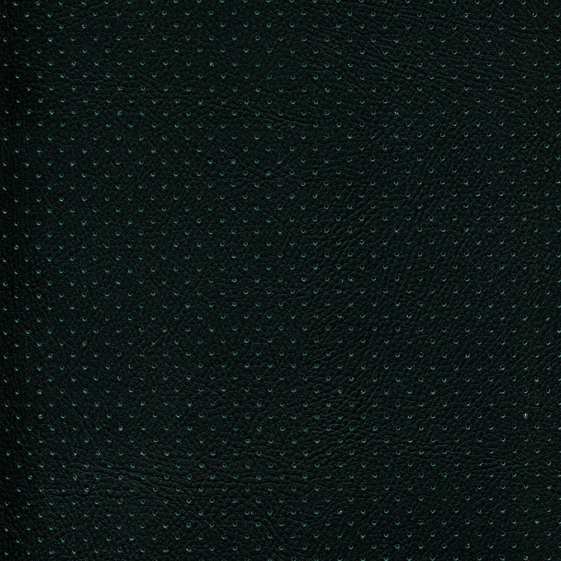 54" Enduratex™ Phantom Perf Green (507) Perforated Vinyl Fabric Image 1
