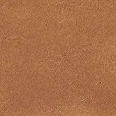 54" Enduratex™ Sierra Camel (5197) Vinyl Fabric Image 1