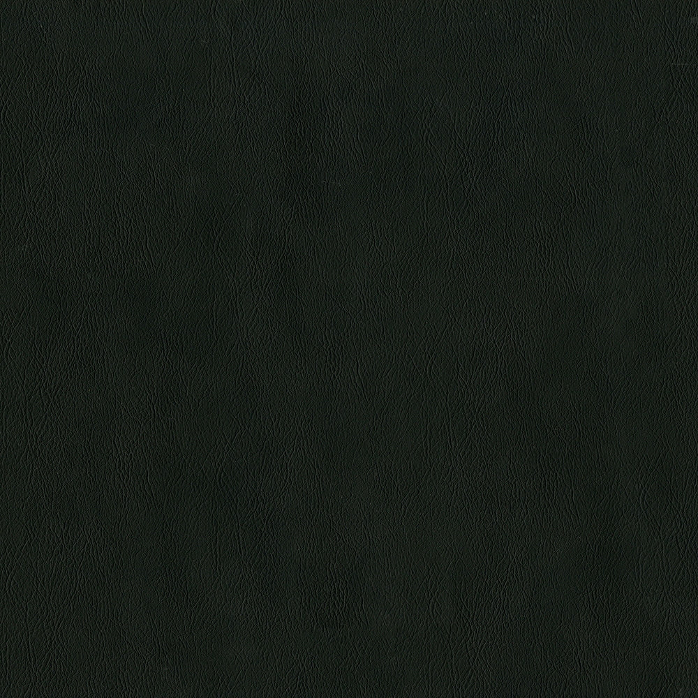 54" Intrepid Raven (909) Vinyl Fabric Image 1