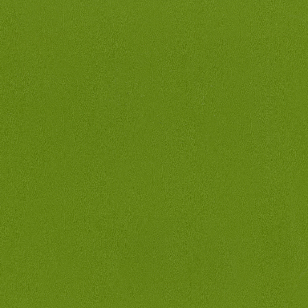 54" Intrepid Spring (205) Vinyl Fabric Image 1