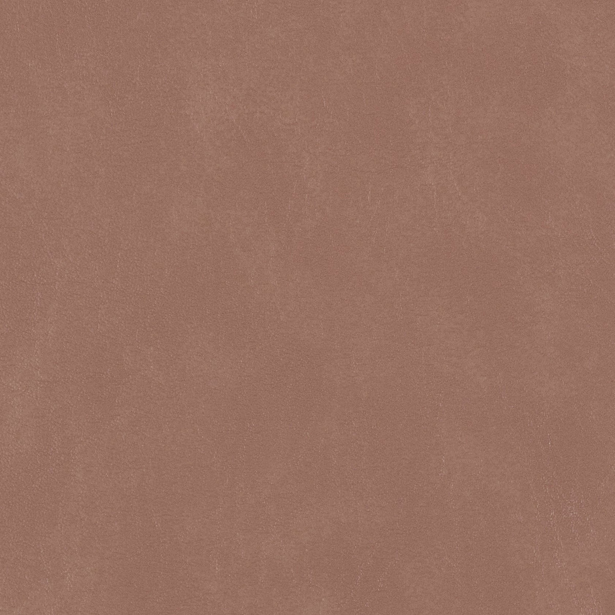 54" Morbern™ Biscayne Buck (119) Vinyl Fabric Image 1