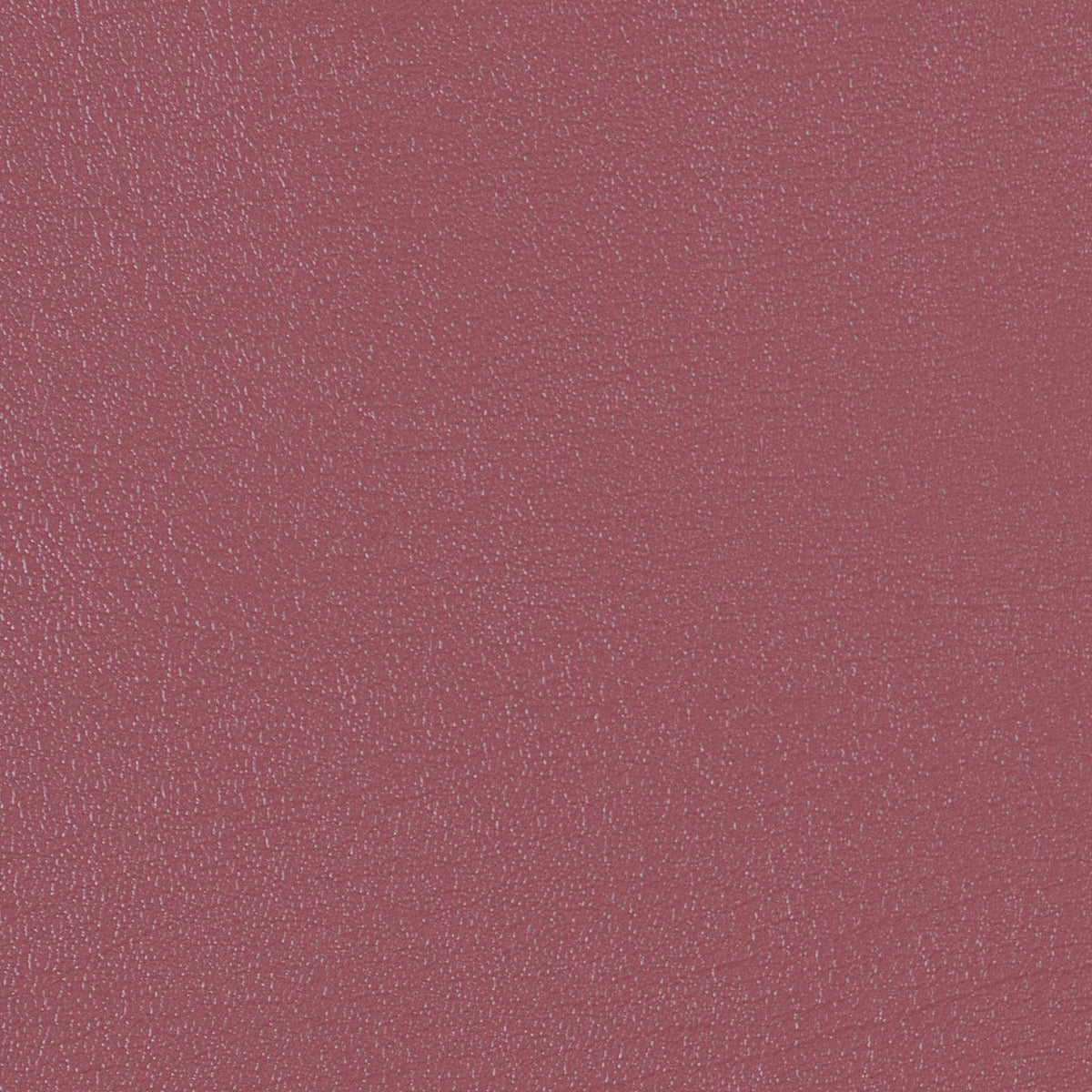 54" Morbern™ Duration Autumn (202) Vinyl Fabric Image 1