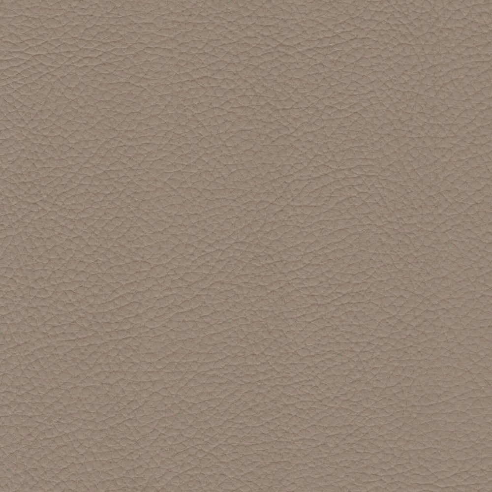 54" Morbern™ Extraordinaire Cream (105) Vinyl Fabric Image 1