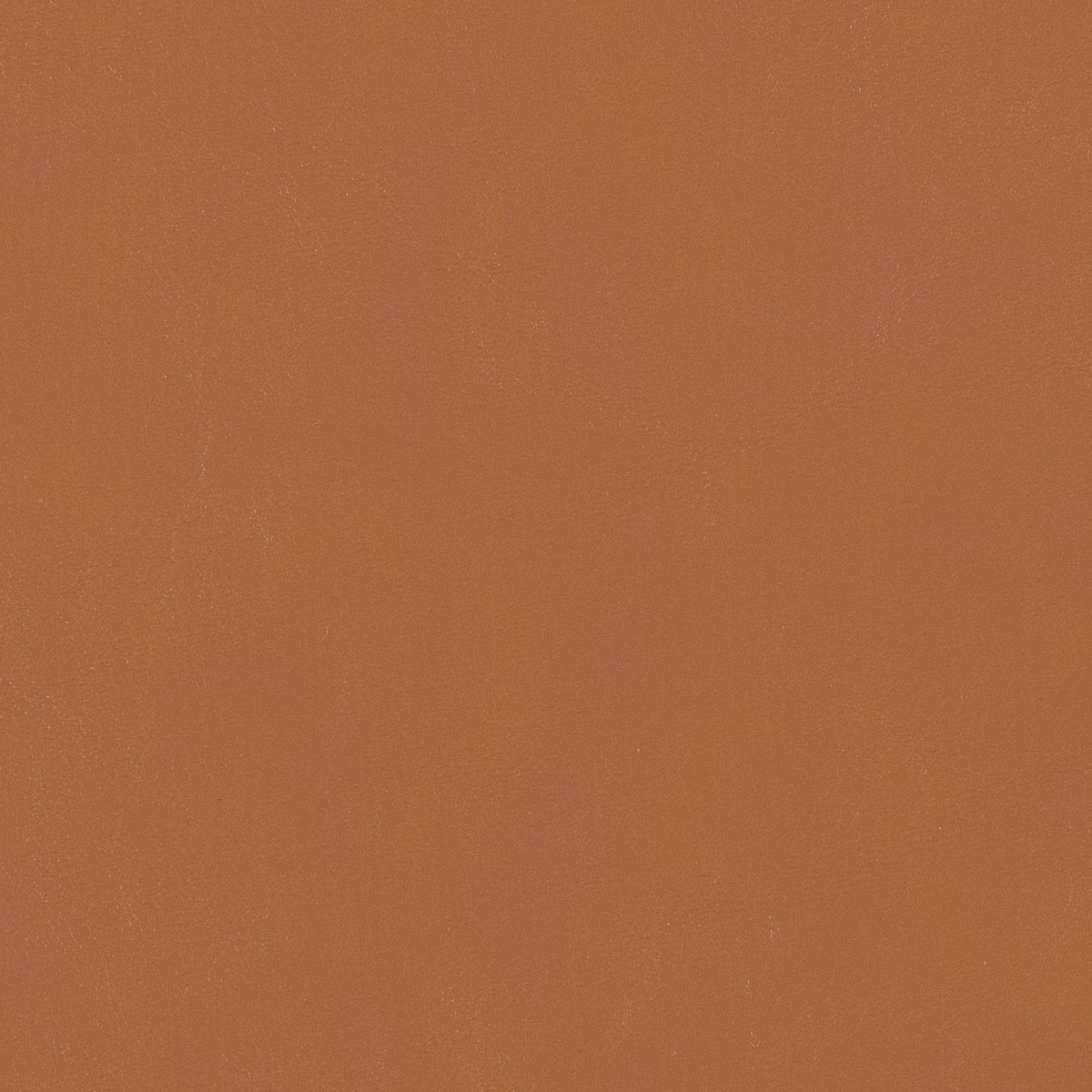 54" Morbern™ Hampton Fawn (052) Vinyl Fabric Image 1