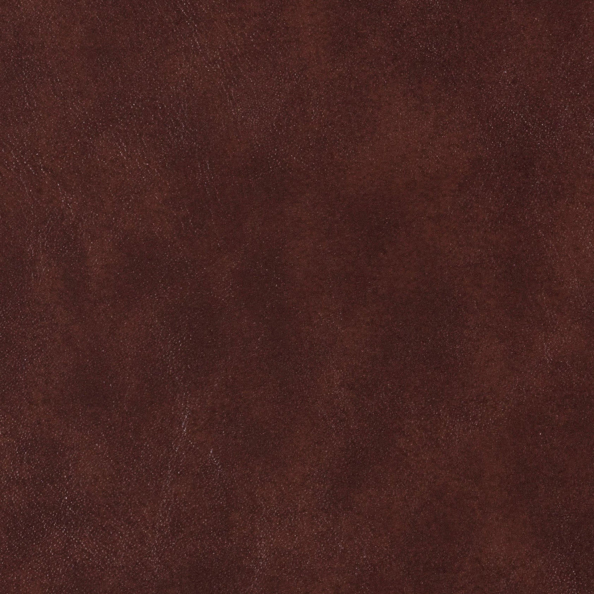 54" Morbern™ Hampton Roan (078) Vinyl Fabric Image 1
