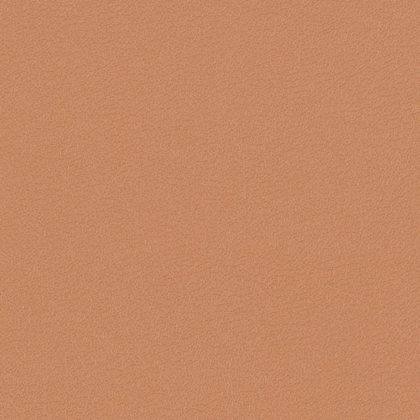 54" Morbern™ Vitality Daybreak (205) Vinyl Fabric Image 1
