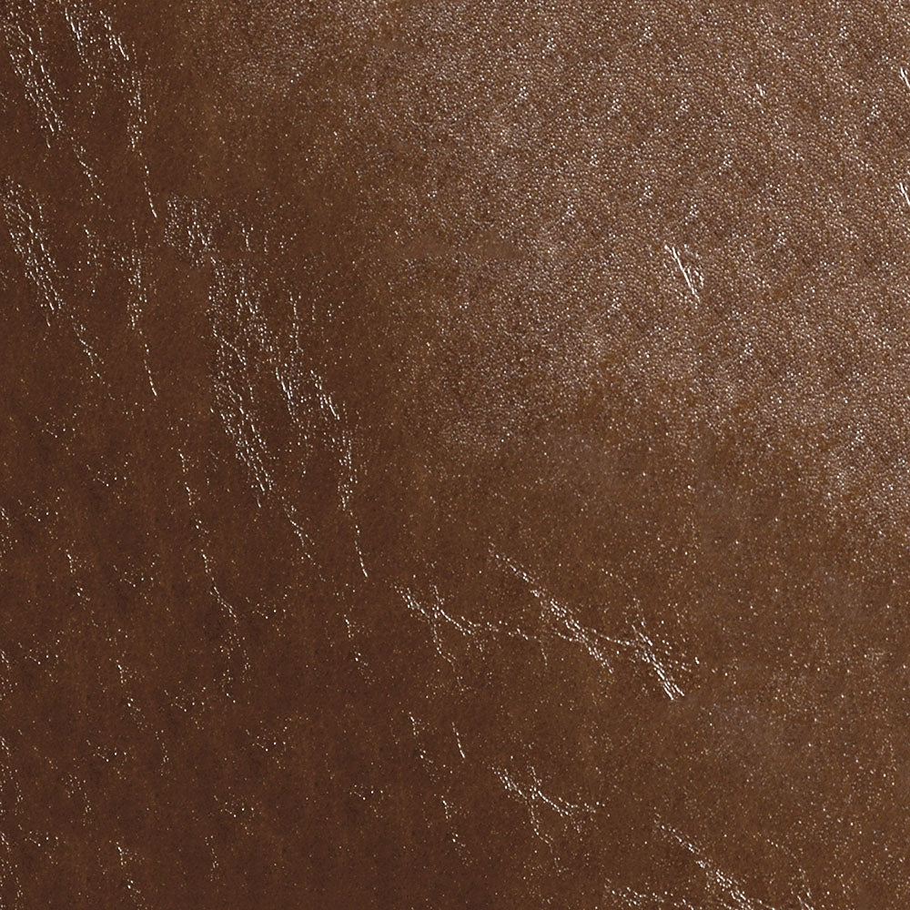 54" Nassimi Glaze Honey (006) Vinyl Fabric Image 1