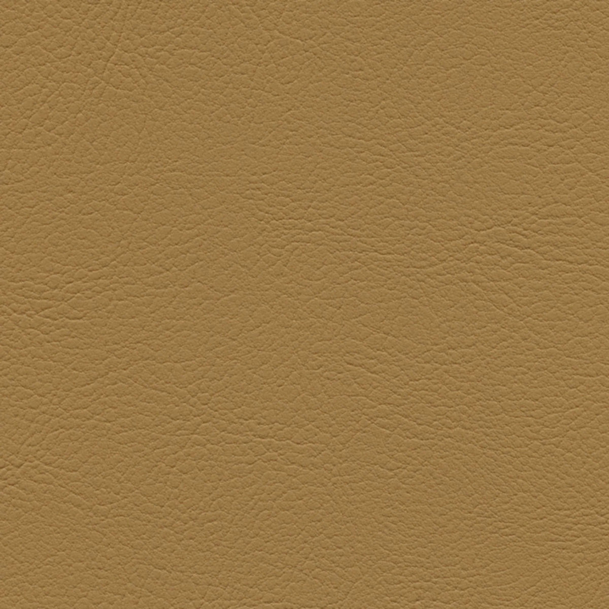 54" Spradling® Breeze Champagne (1456) Marine Vinyl Fabric Image 1