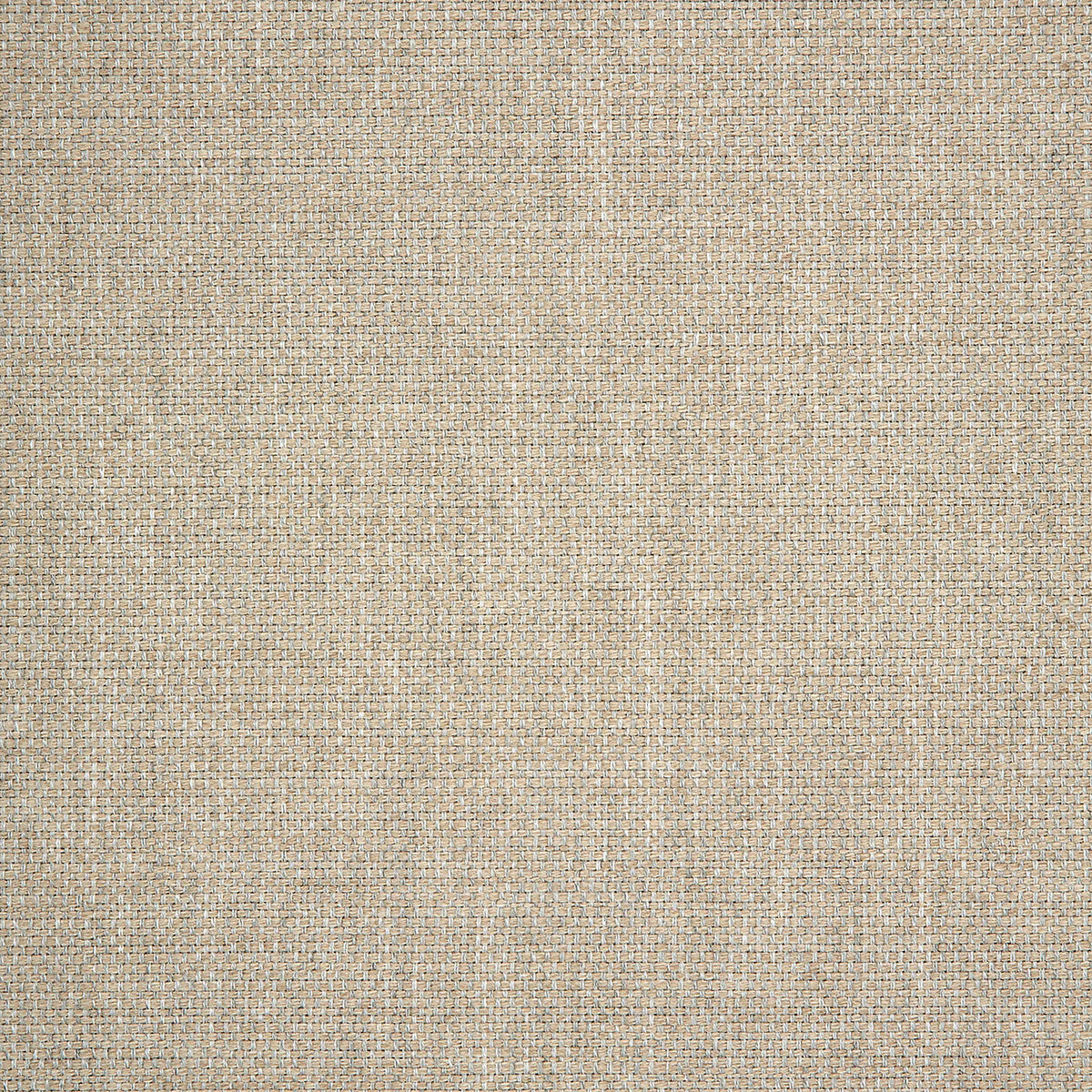 54" Sunbrella® Piazza Dove (305423-0007) Upholstery Fabric swatch