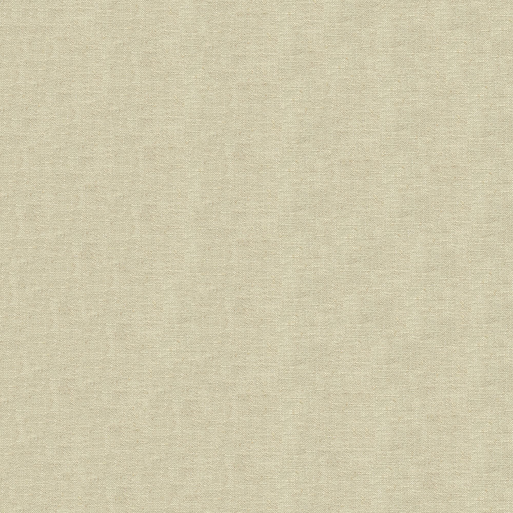 55" Earth Beige (6003) Upholstery Fabric Image 1