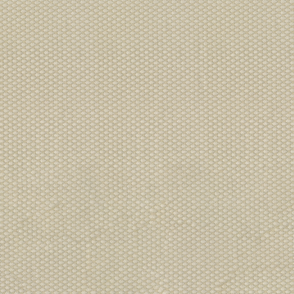 56" Focus Ecru (61) Upholstery Fabric Image 1