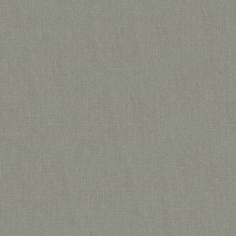 57" Pappy Platinum (94) Upholstery Fabric Image 1