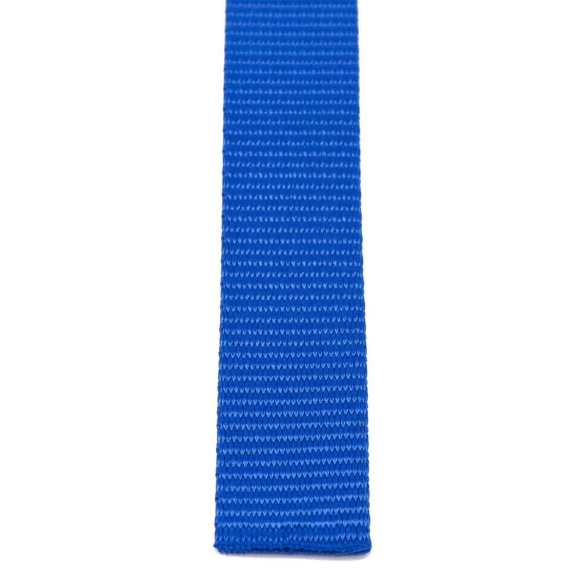 Royal Blue Polyester Webbing (1.8 mm) Image 3