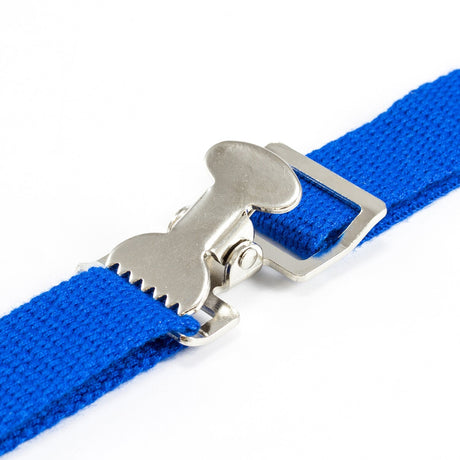 Spring Webbing Buckles