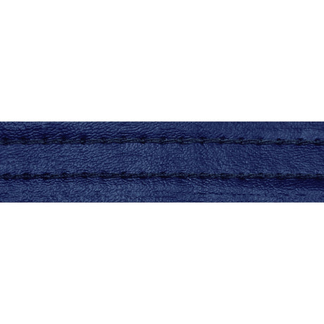 3/4" White Water Royal Blue (003) Hidem Gimp Welt Image 1