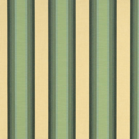 46" Sunbrella® Colonnade Juniper (4856-0000) Awning/Marine Fabric Image 1