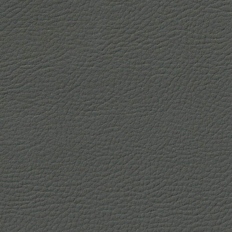 54" Auto Revolution Dark Khaki (7646) Vinyl Fabric Image 1