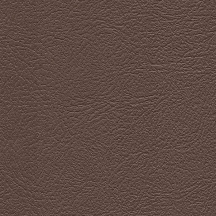 54" Auto Revolution Montana Med. Prairie Tan (7094) Vinyl Fabric Image 1