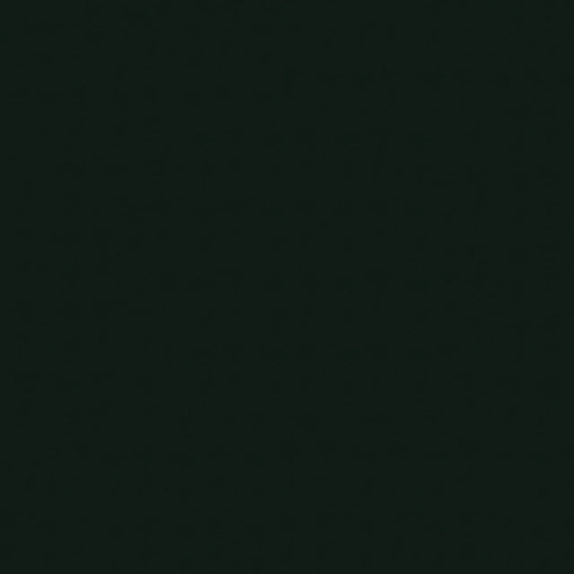54" Autobahn Black (077) Vinyl Fabric Image 1