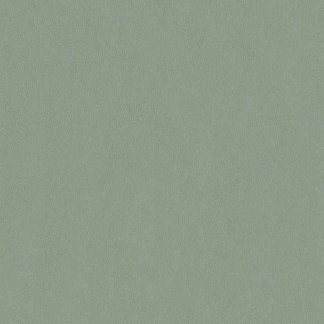54" Carolina Ash (903) Faux Leather Fabric Image 1
