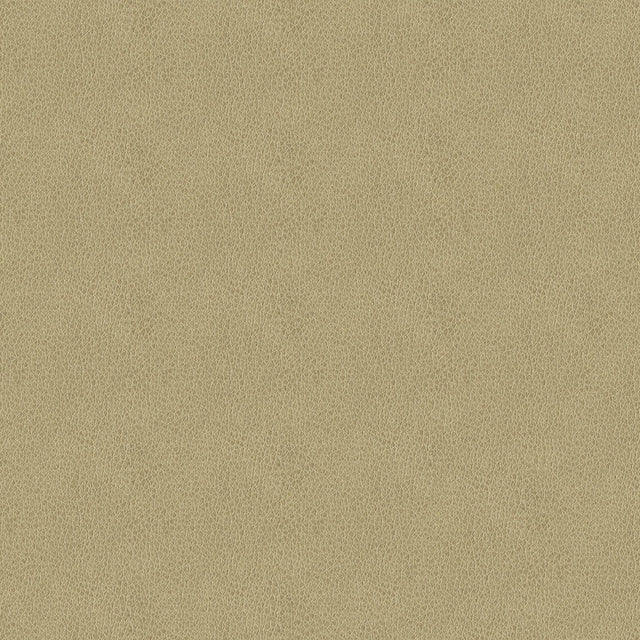 54" Carolina Beige (6003) Faux Leather Fabric Image 1