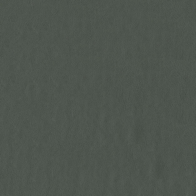 54" Carolina Graphite (908) Faux Leather Fabric Image 1