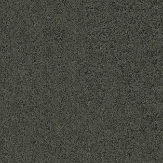 54" Carolina Gunmetal (9006) Faux Leather Fabric Image 1