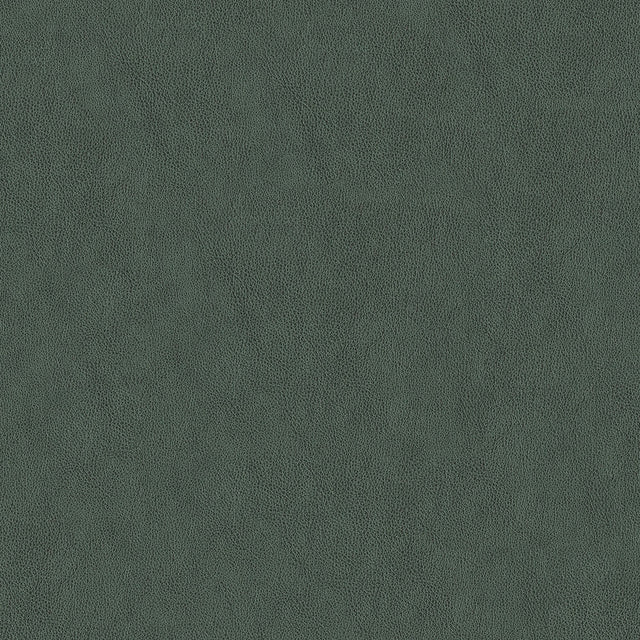 54" Carolina Smoke (905) Faux Leather Fabric Image 1