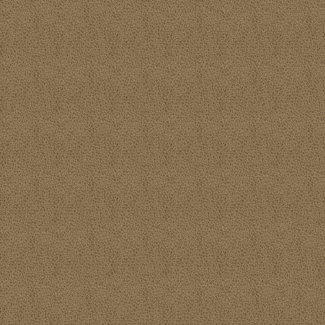 54" Carolina Tan (606) Faux Leather Fabric Image 1