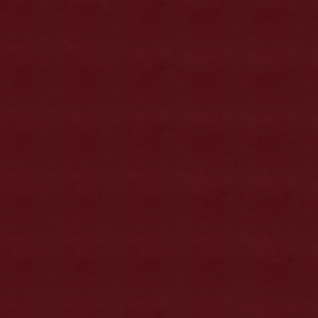 54" Enduratex™ Armada Red Sail (116) Vinyl Fabric Image 1