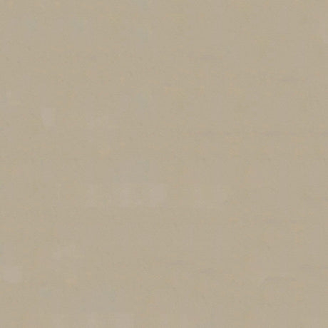 54" Enduratex™ Armada Sand Beach (119) Vinyl Fabric Image 1