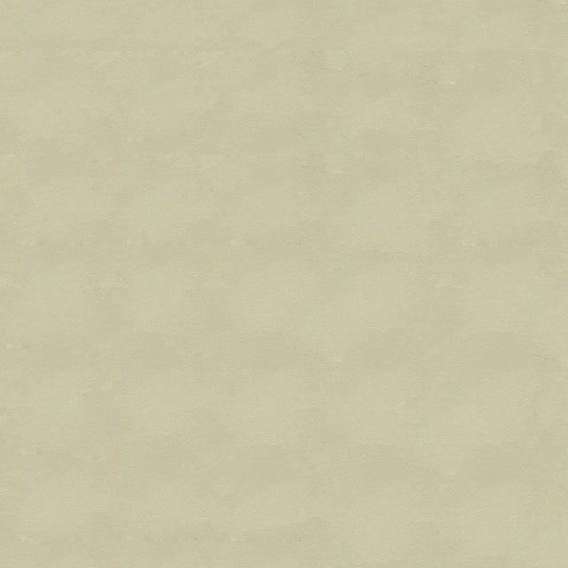 54" Enduratex™ Armada Sand Dollar (117) Vinyl Fabric Image 1