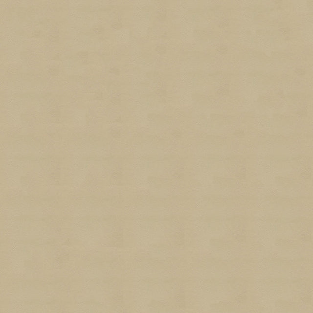 54" Enduratex™ Armada Sand Dune (118) Vinyl Fabric Image 1