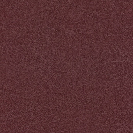 54" Enduratex™ Aspirations Crimson (ASP500-NFR) Vinyl Fabric Image 1