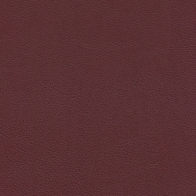 54" Enduratex™ Aspirations Crimson (ASP500-NFR) Vinyl Fabric Image 1