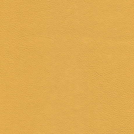 54" Enduratex™ Aspirations Flan (ASP600-NFR) Vinyl Fabric Image 1