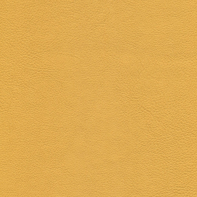 54" Enduratex™ Aspirations Flan (ASP600-NFR) Vinyl Fabric Image 1