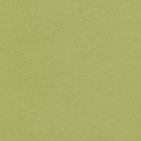 54" Enduratex™ Aspirations Jessamy (ASP1000-NFR) Vinyl Fabric Image 1