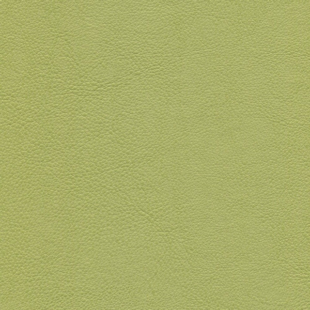54" Enduratex™ Aspirations Jessamy (ASP1000-NFR) Vinyl Fabric Image 1