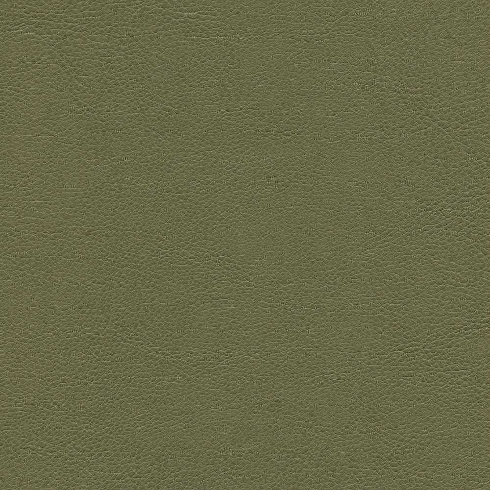 54" Enduratex™ Aspirations Leek (ASP1100-NFR) Vinyl Fabric Image 1